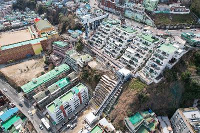 사진