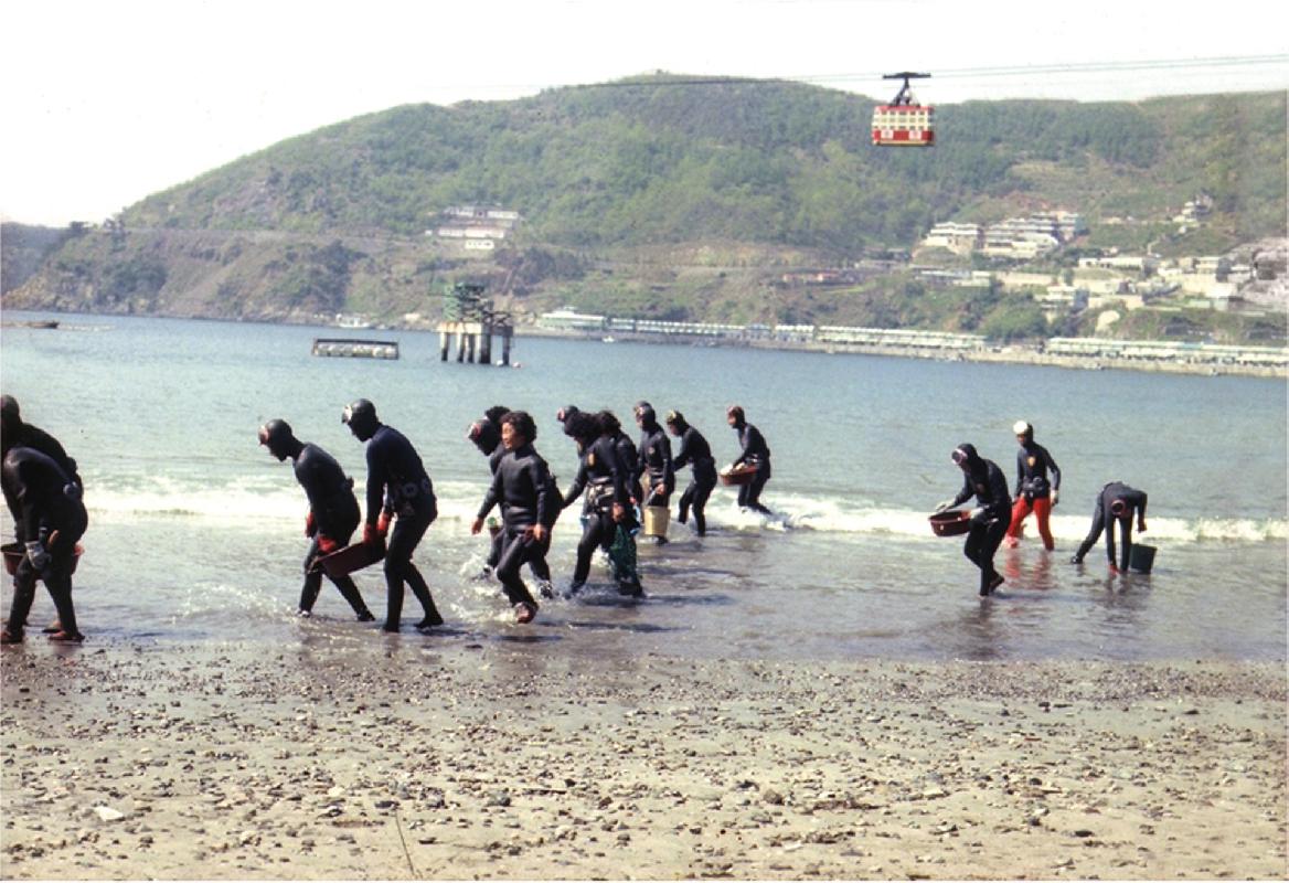송도해수욕장