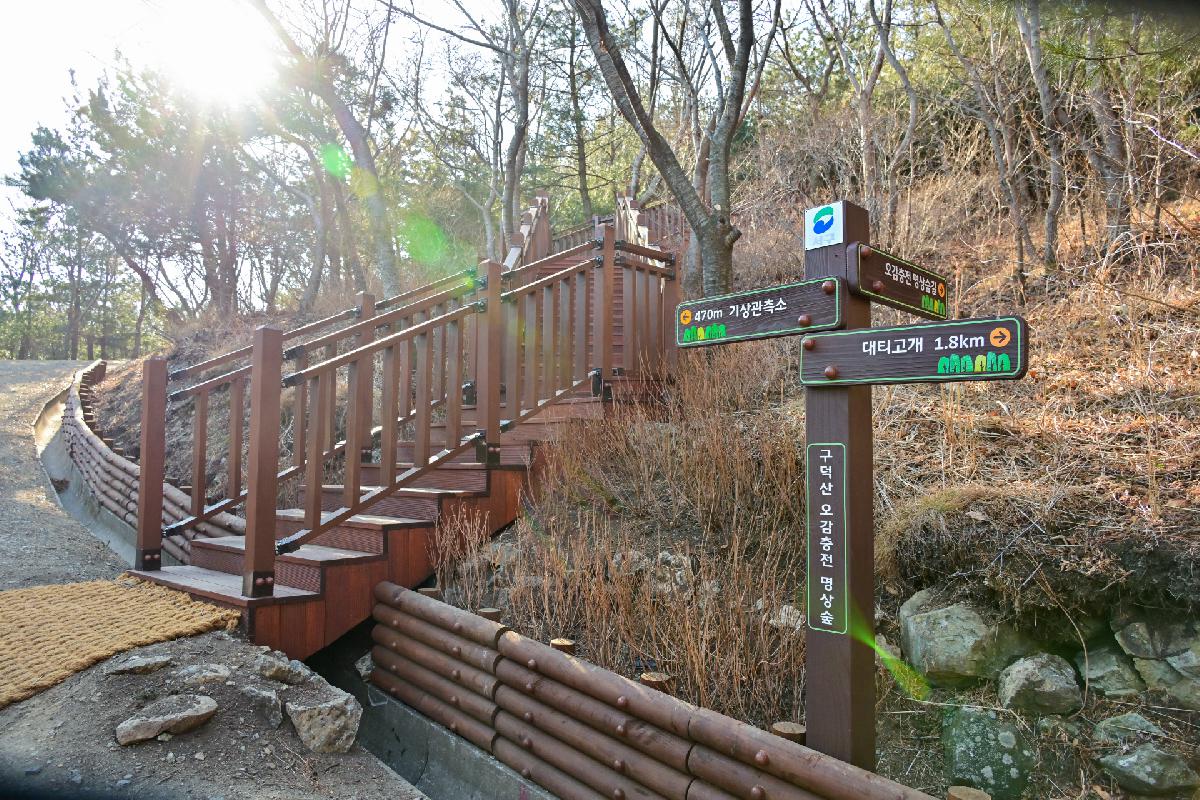 구덕산 오감충전 명상숲 조성지