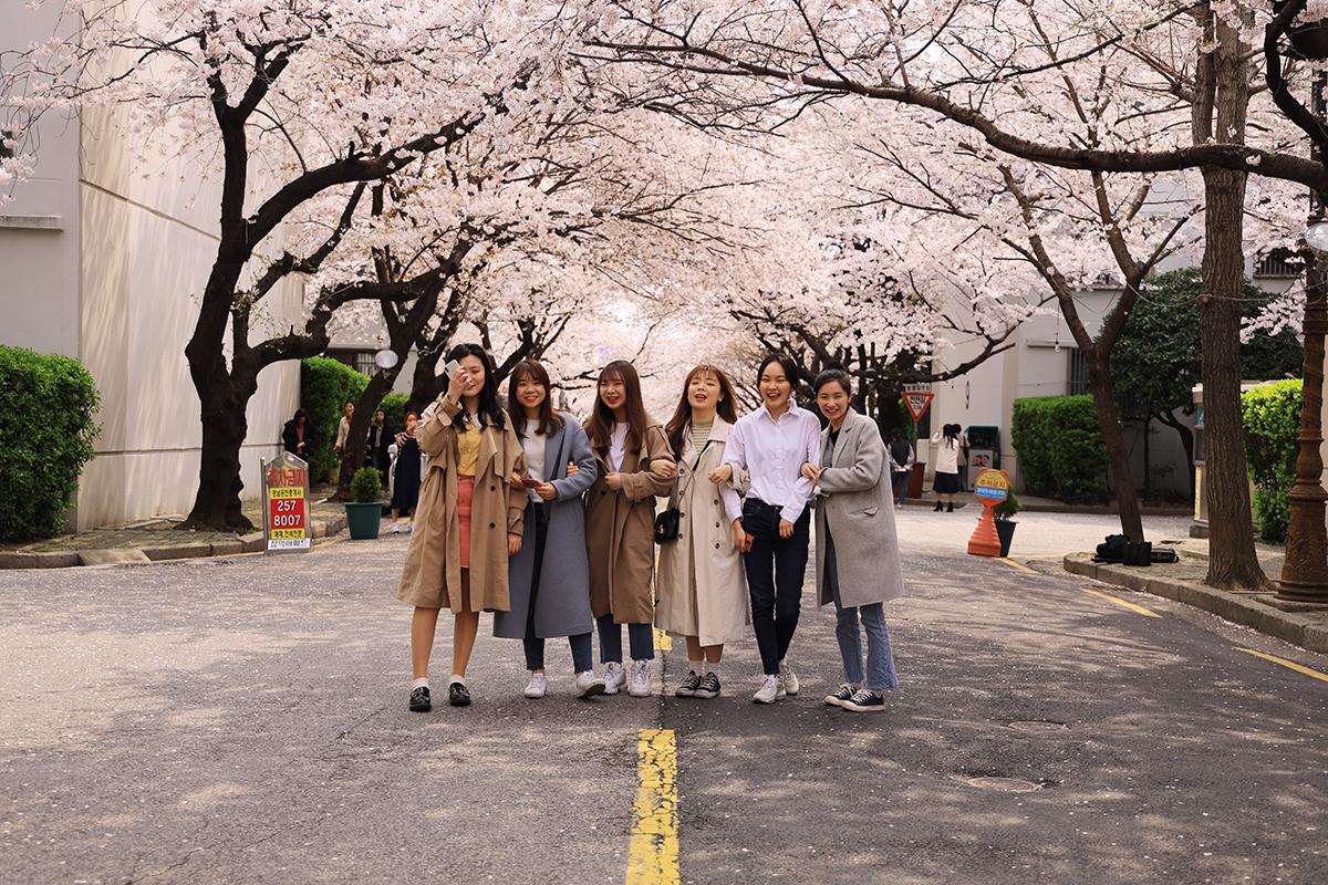 동대신동 삼익아파트 벚꽃풍경