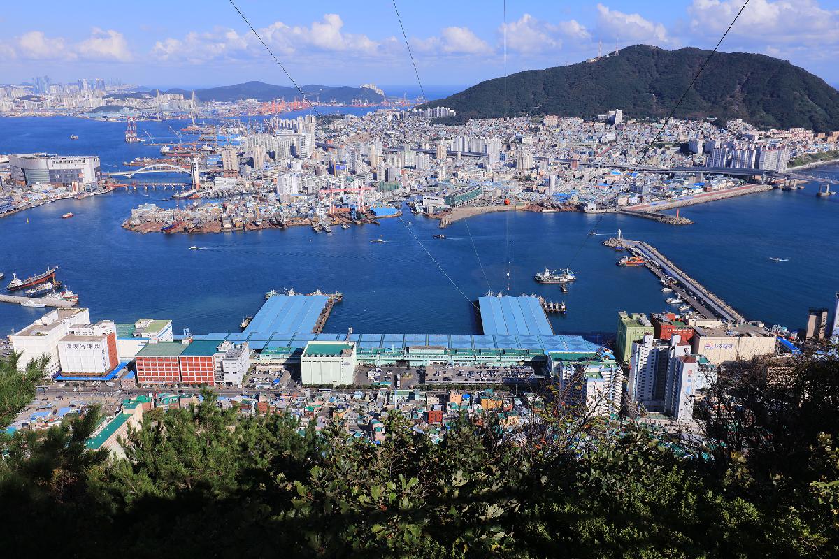부산공동어시장 