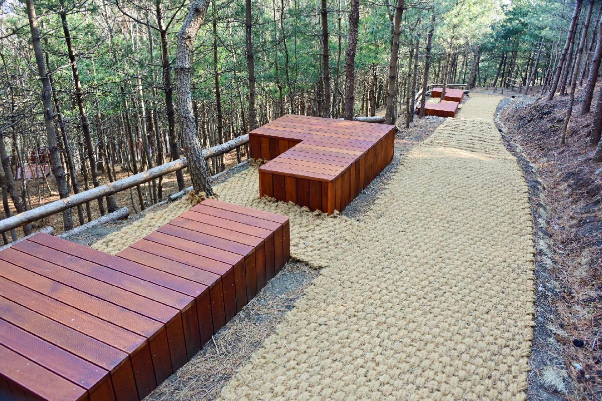 구덕산 오감충전 명상숲 조성지