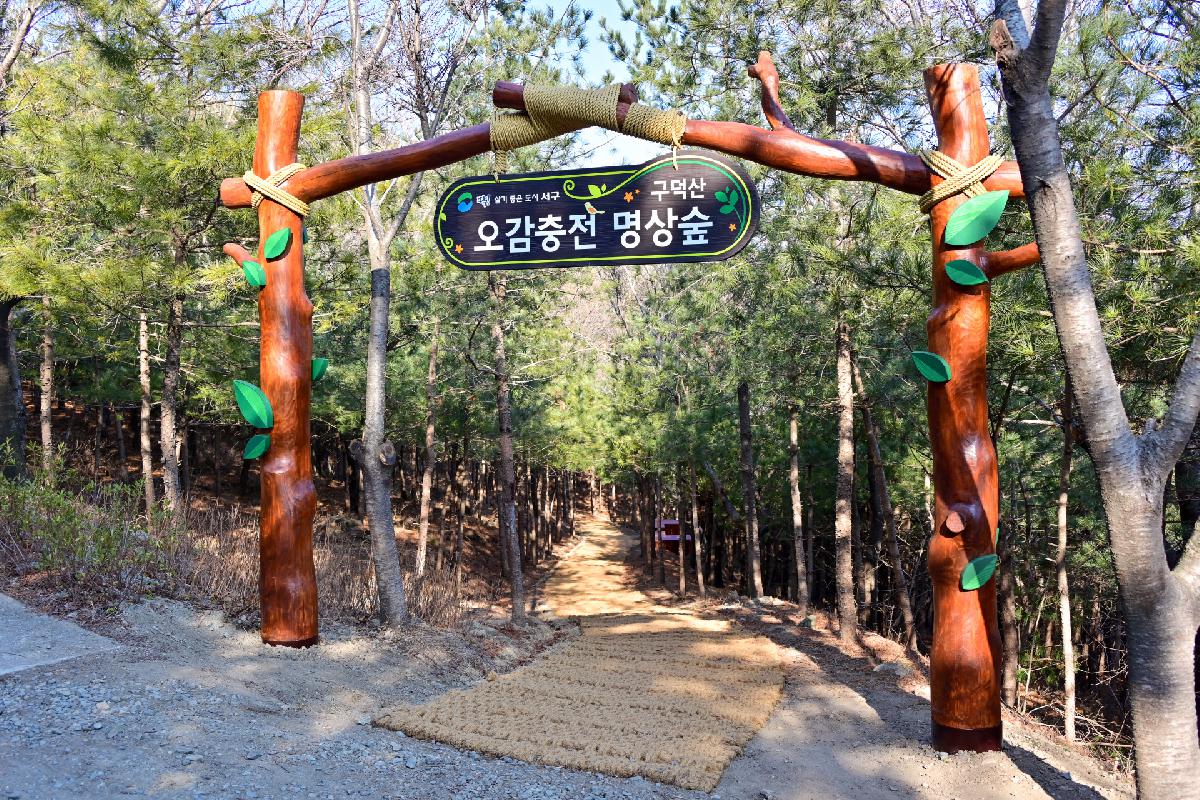 구덕산 오감충전 명상숲 조성지