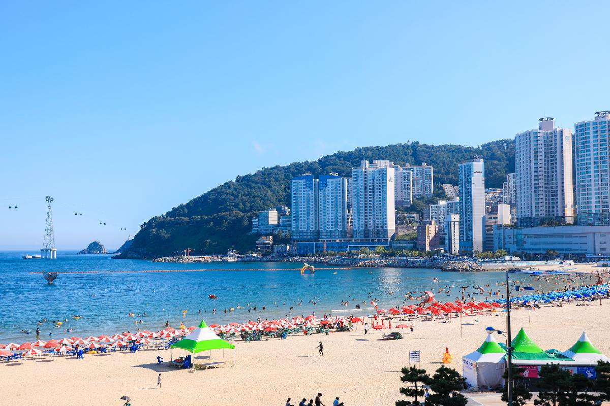 2019 송도해수욕장 여름