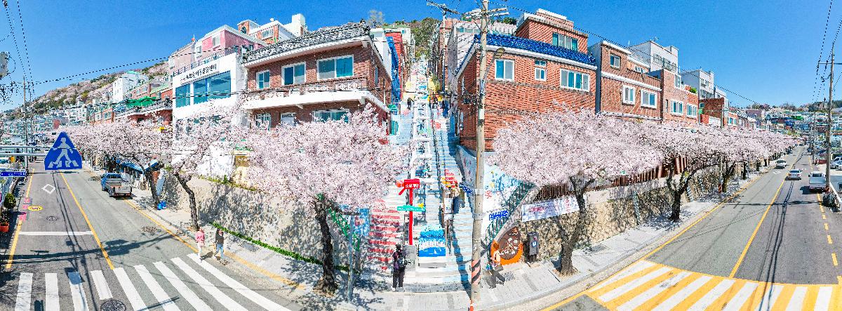 동대신2동 소망계단 모노레일 벚꽃 전경