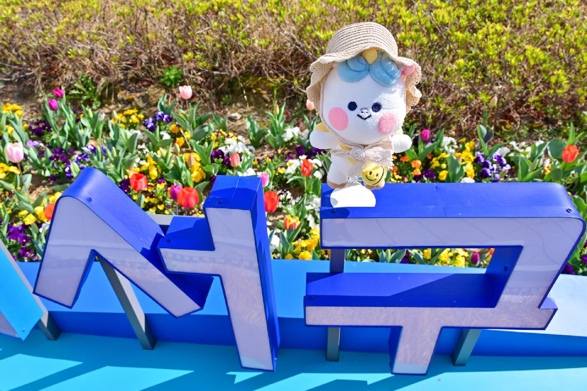 2022년 서구 관내 봄꽃 사진