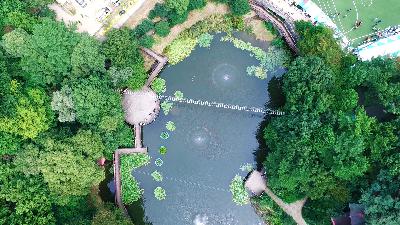 하늘에서 본 서구의 풍경