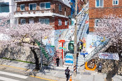 동대신2동 소망계단 모노레일 벚꽃 전경