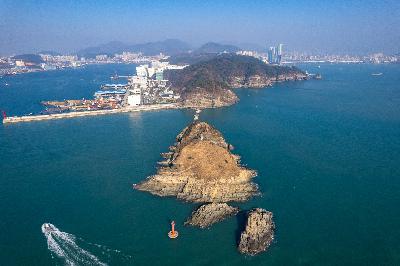사진