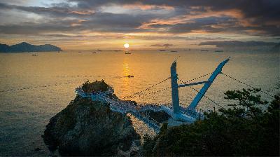 사진