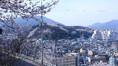 천마산 하늘산책로