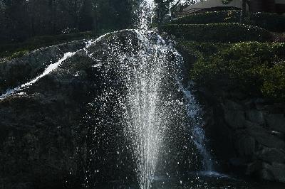 구덕문화공원