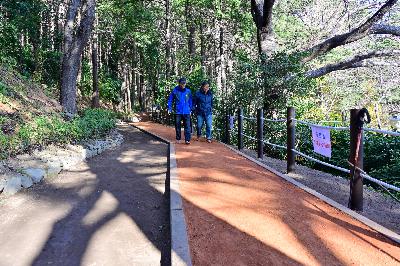 초장동 건강 맨발 황토길 조성지