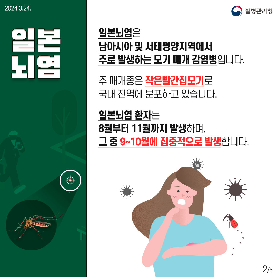 240324_일본뇌염2.jpg
