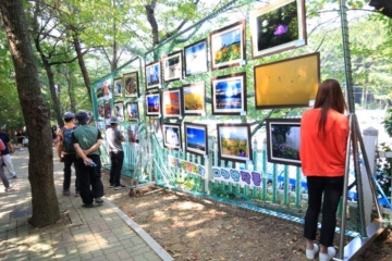 구덕골 문화예술제