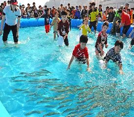 부산고등어축제