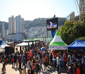 부산고등어축제