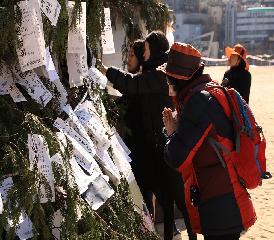 송도달집축제