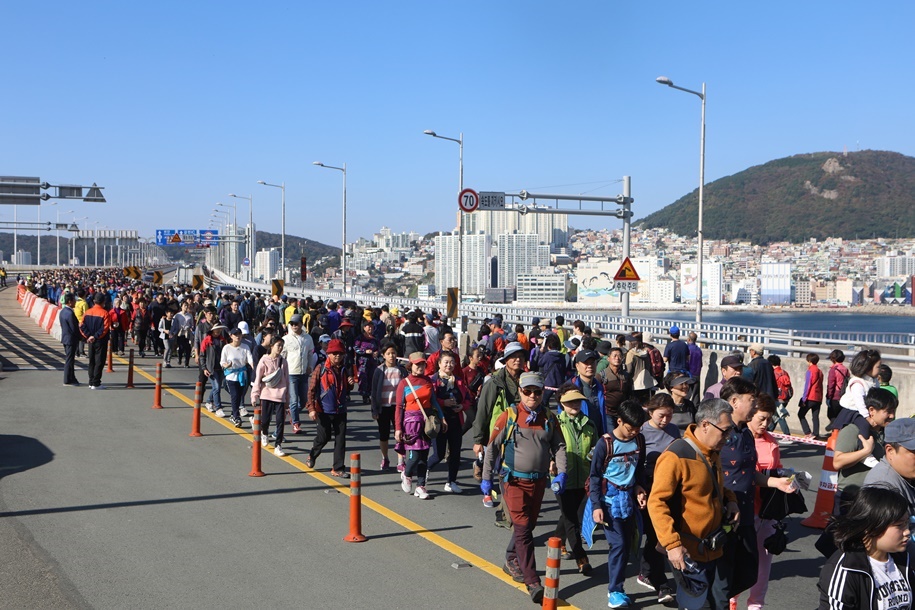 남항대교걷기대회