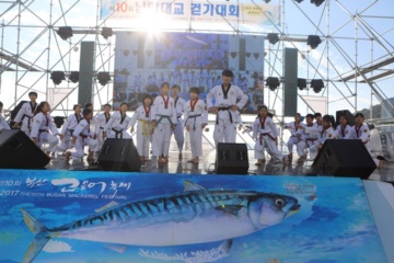 남항대교걷기대회