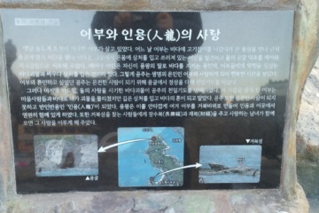 거북섬