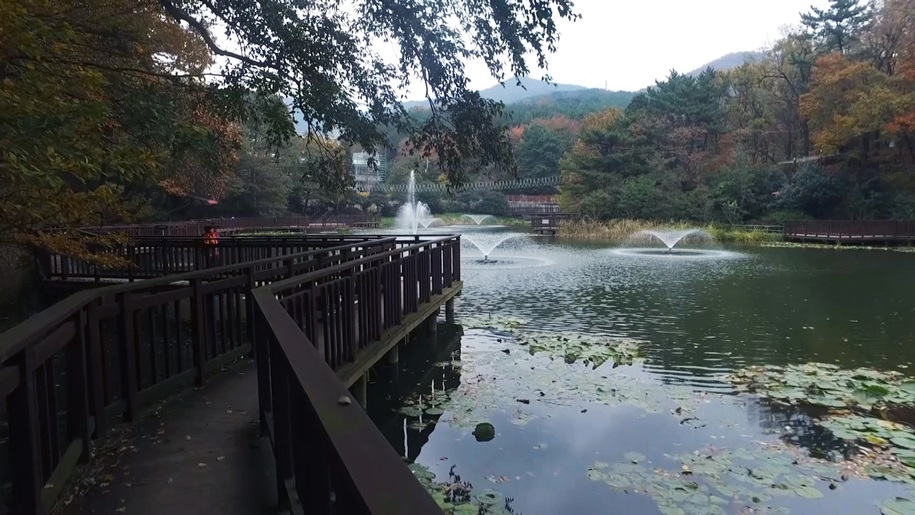 테마호수공원(구덕수원지)