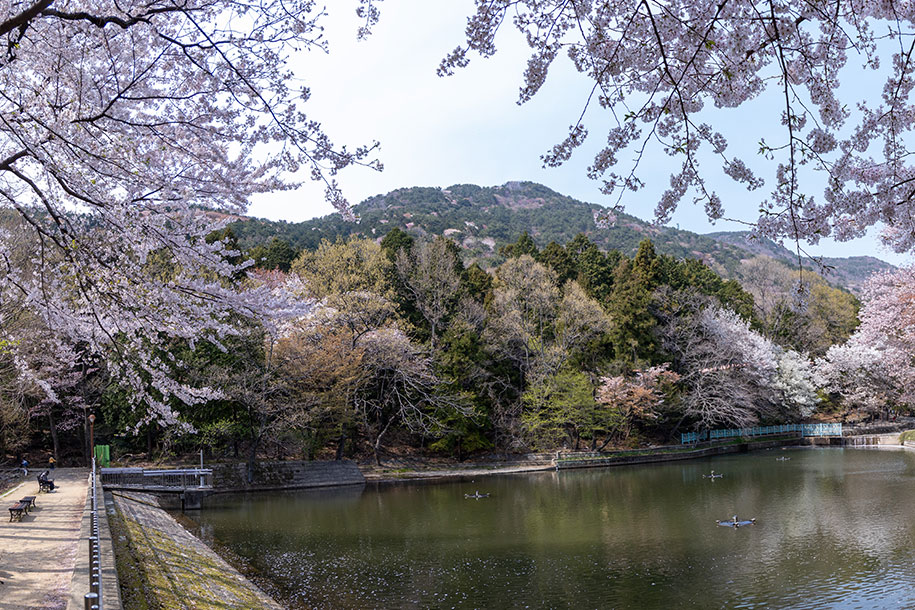 대신공원