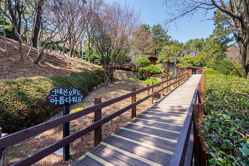 구덕문화공원