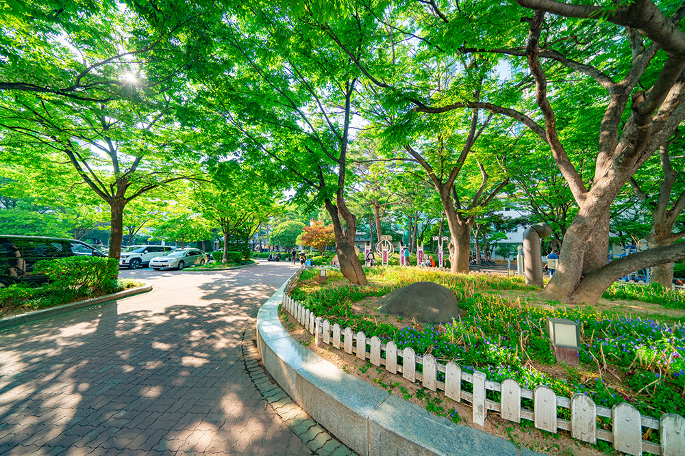 구청소공원