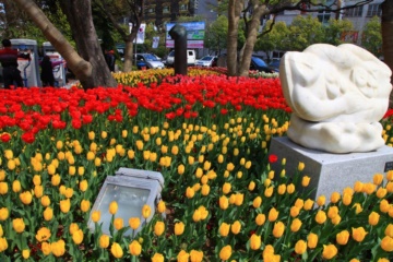 구청소공원