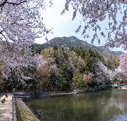 대신공원