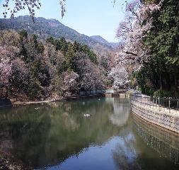 대신공원