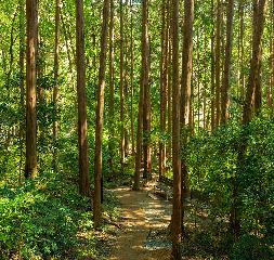 대신공원