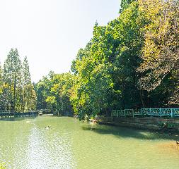 대신공원