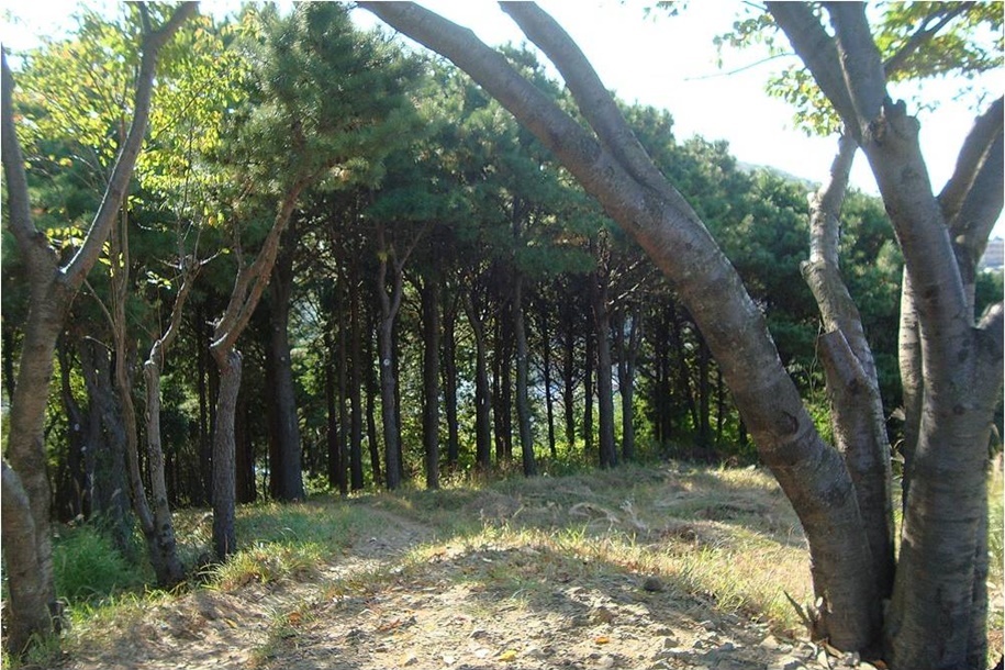 아미산