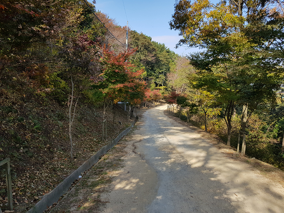 천마산