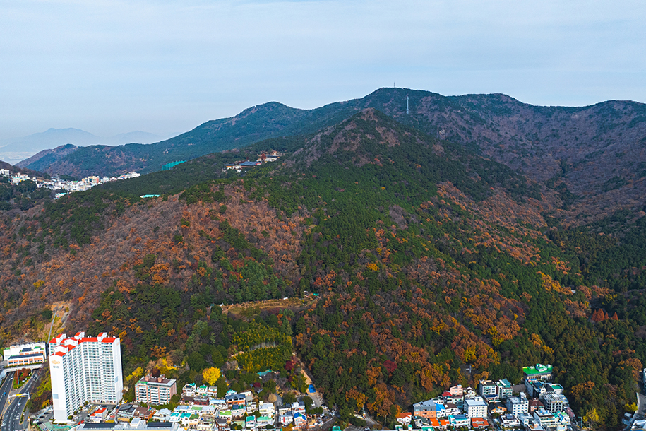 엄광산