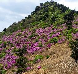 시약산