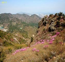 시약산