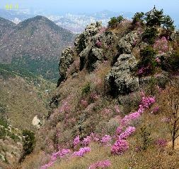 시약산