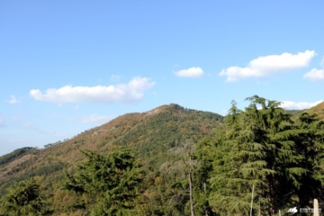 구봉산