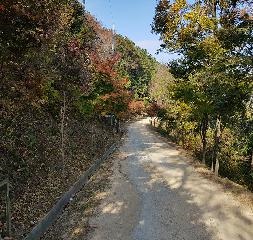 천마산