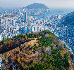 아미산