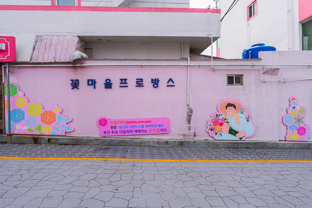 꽃마을