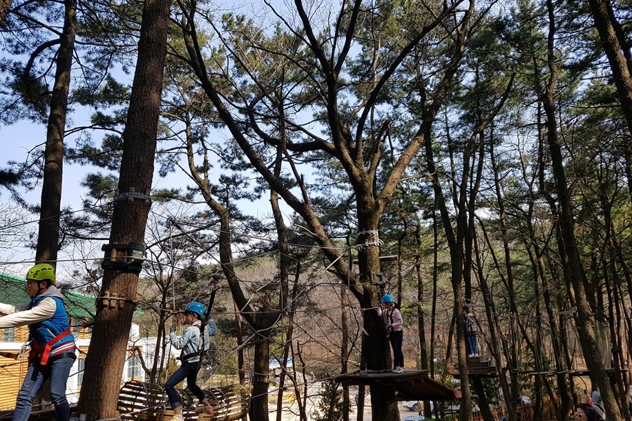 구덕청소년모험시설