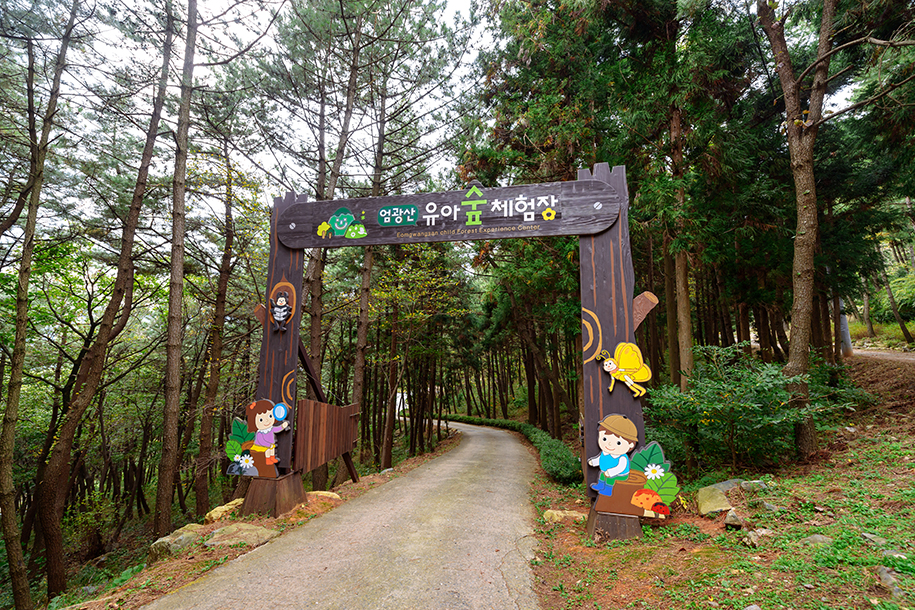 엄광산유아숲체험장