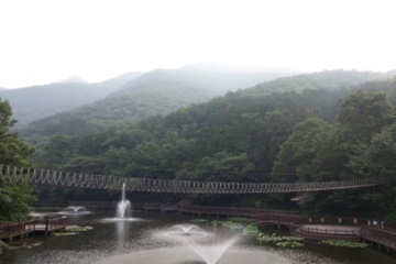구덕청소년모험시설