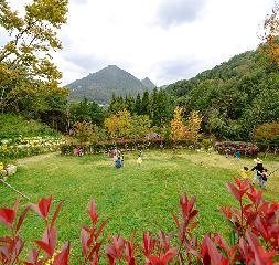 엄광산유아숲체험장