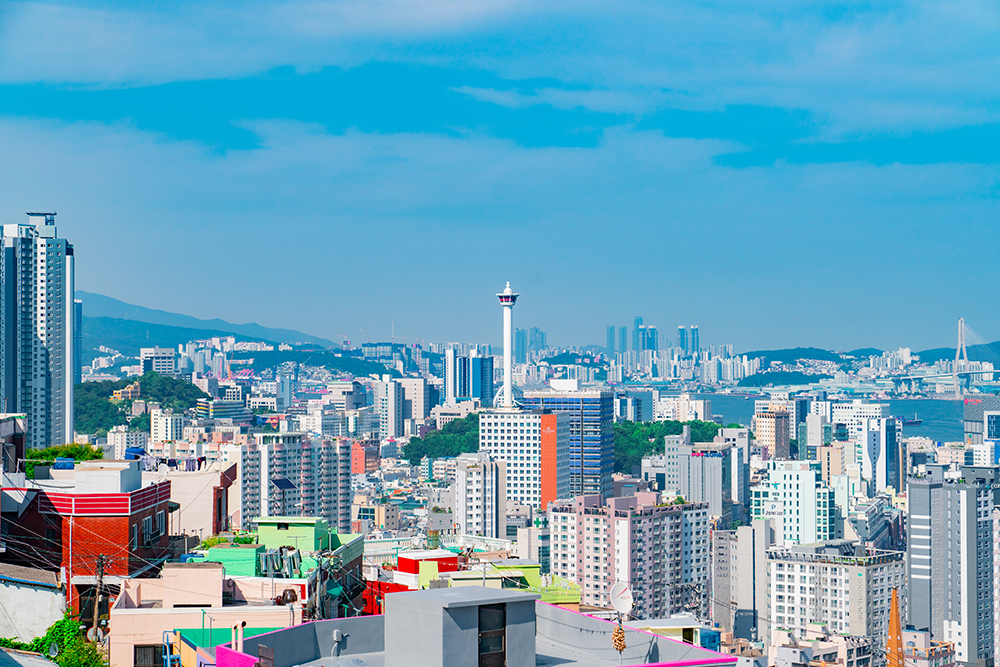 천마산 하늘전망대