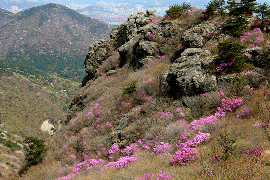 시약산 & 구덕산